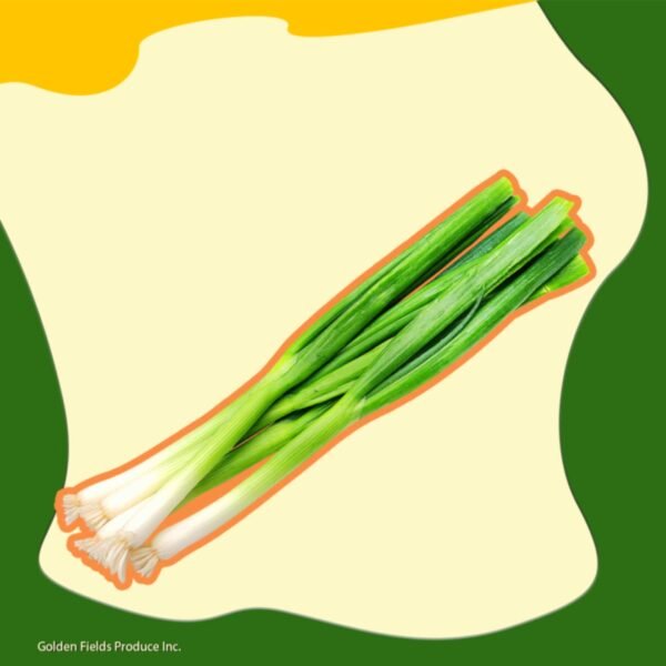 GR. Onion
