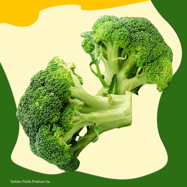 Broccoli