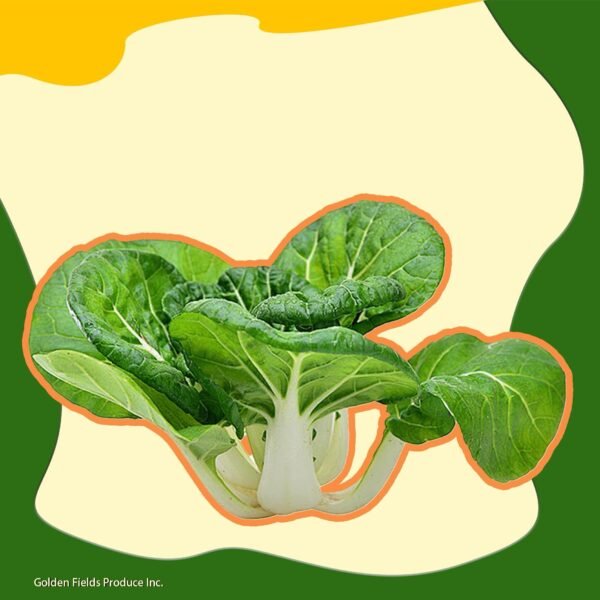 White Bok Choy