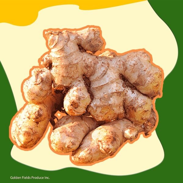 Ginger