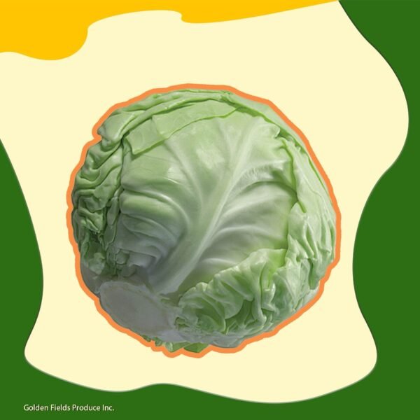Green cabbage